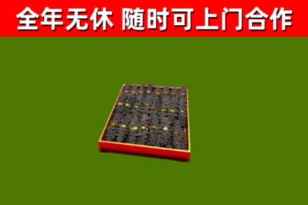 肃宁县回收海参